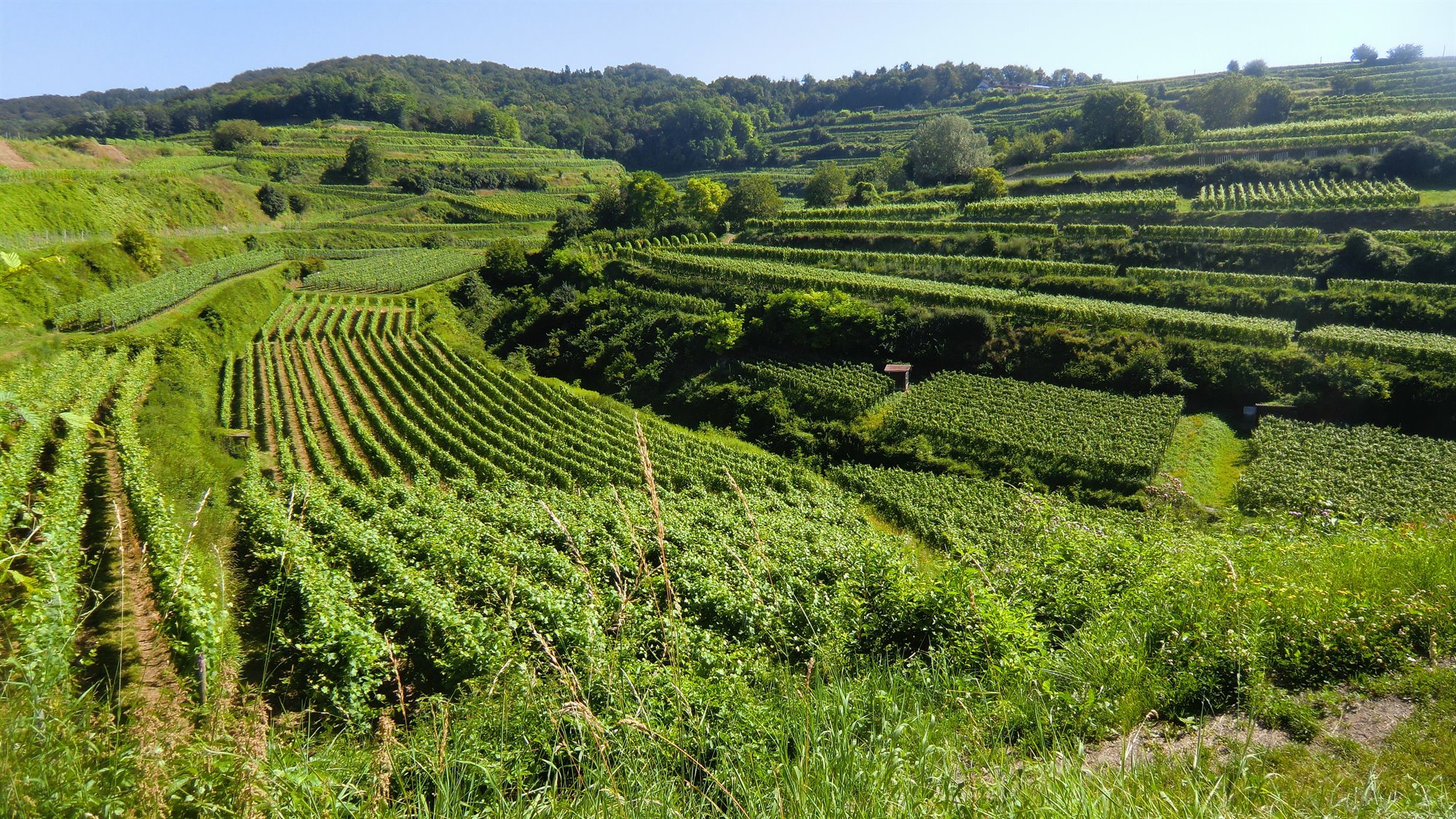 Der Kaiserstuhl - Ausflugsziel - hauskaiserstuhl.de